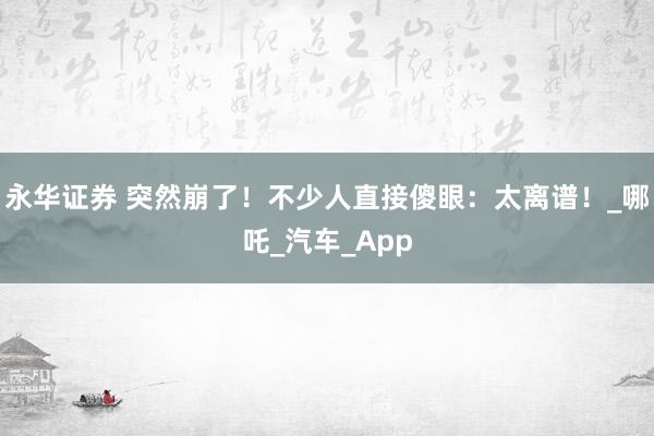 永华证券 突然崩了！不少人直接傻眼：太离谱！_哪吒_汽车_App