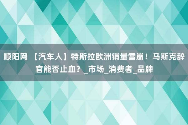顺阳网 【汽车人】特斯拉欧洲销量雪崩！马斯克辞官能否止血？_市场_消费者_品牌