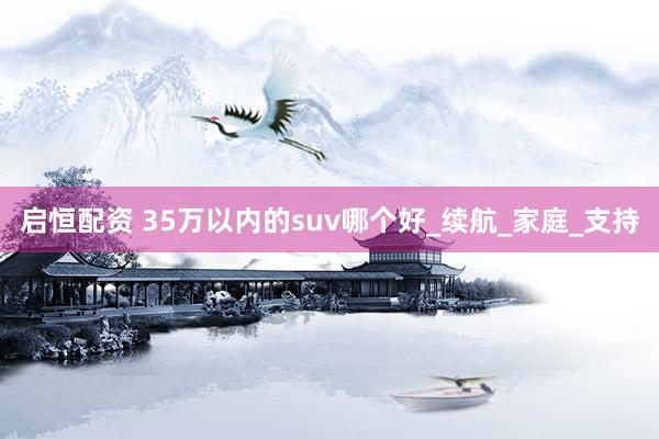 启恒配资 35万以内的suv哪个好_续航_家庭_支持