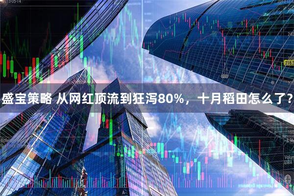 盛宝策略 从网红顶流到狂泻80%，十月稻田怎么了？