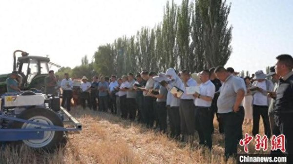 尊享配资 新疆兵团：“两吨粮田”示范田创高产