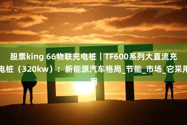 股票king 66物联充电桩｜TF600系列大直流充电桩（320kw）：新能源汽车格局_节能_市场_它采用