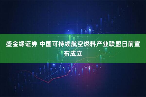 盛金缘证券 中国可持续航空燃料产业联盟日前宣布成立