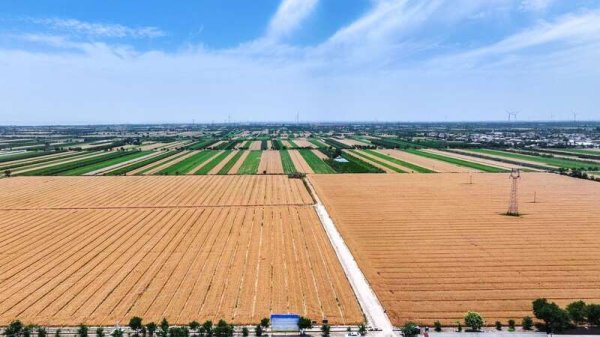 红腾网 水利为基，书写大国粮仓的“丰收答卷“