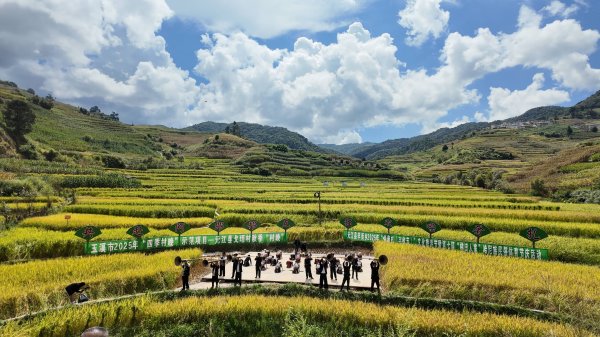 掌盘策略 追光｜运动过节，中国农民“丰”景独好